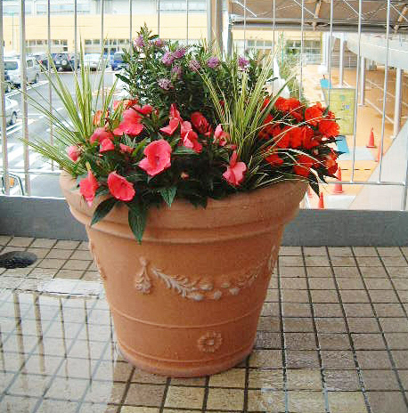 住宅展示場を華やかにする花プランターの寄せ植え