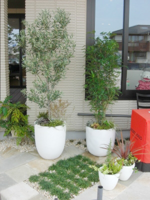 プランターの植替え作業