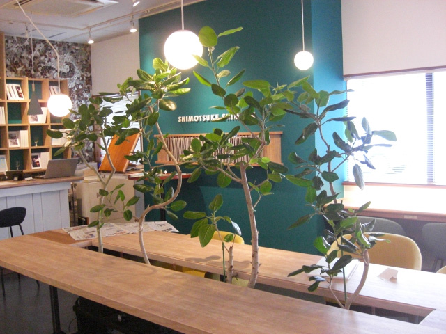 お店(カフェ店内)